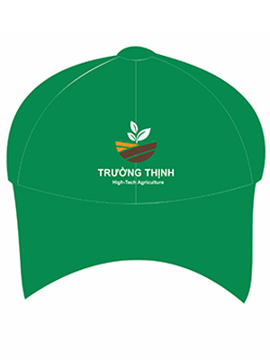 In mũ lưỡi trai công ty Trường Thịnh