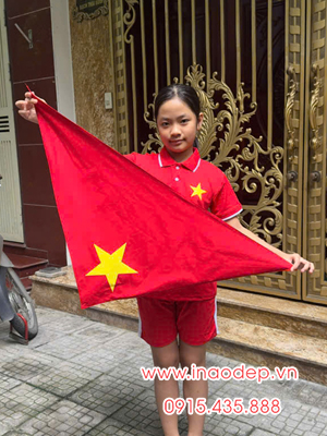 In Áo cờ đỏ sao vàng cho trẻ em cùng với khăn quàng sao vàng