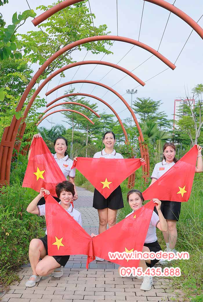 In Áo phông màu trắng In lá cờ Việt Nam cùng với khăn quàng đỏ sao vàng | In ao co do sao vang