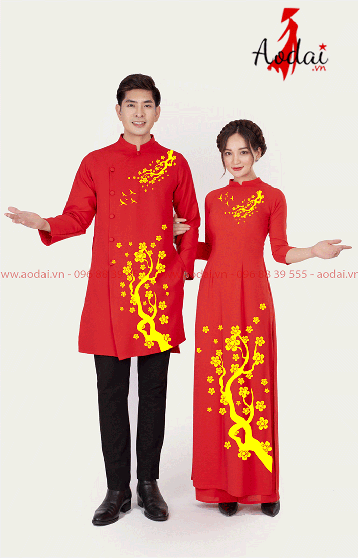 Áo dài  đôi Tết Én mang xuân về | Ao dai dong phuc