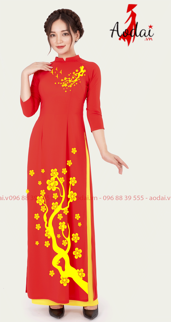 Áo dài nữ Tết  | Ao dai dong phuc