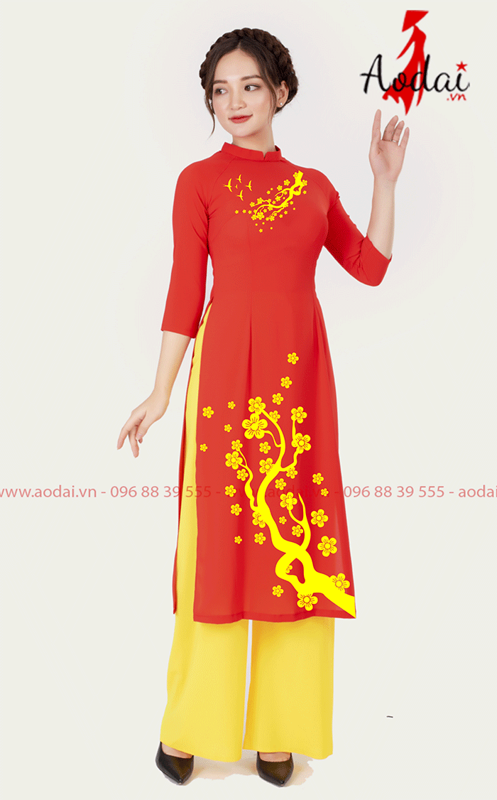 Áo dài nữ cách tân Tết | Ao dai dong phuc